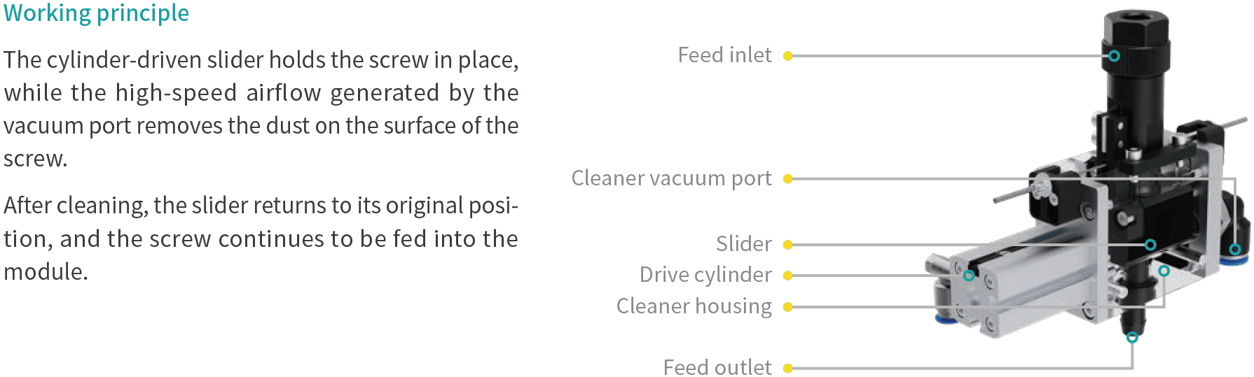 service image